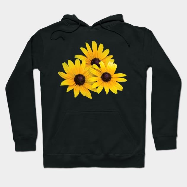 Black Eyed Susans - Trio of Black-Eyed Susans Hoodie by SusanSavad